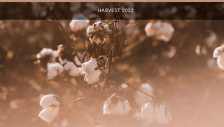 Harvest 2022