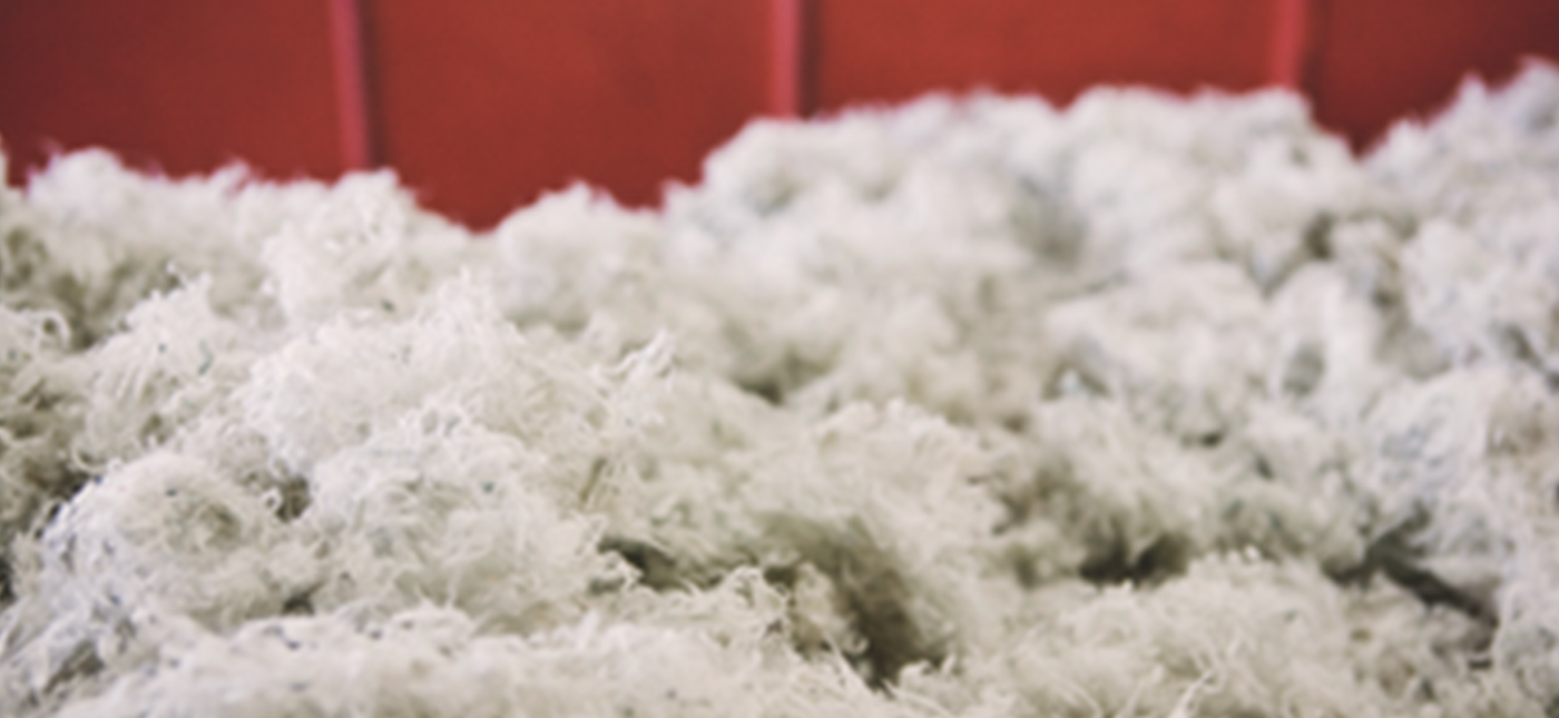Expanding the Conversation — Polyester