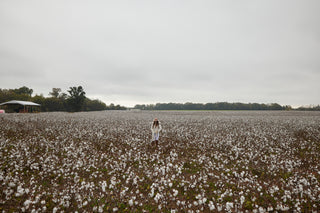 Alabama cotton field affected by drought, symbolizing the impact on cotton farming and production of high-quality cotton yarn and cotton sheets in the South.