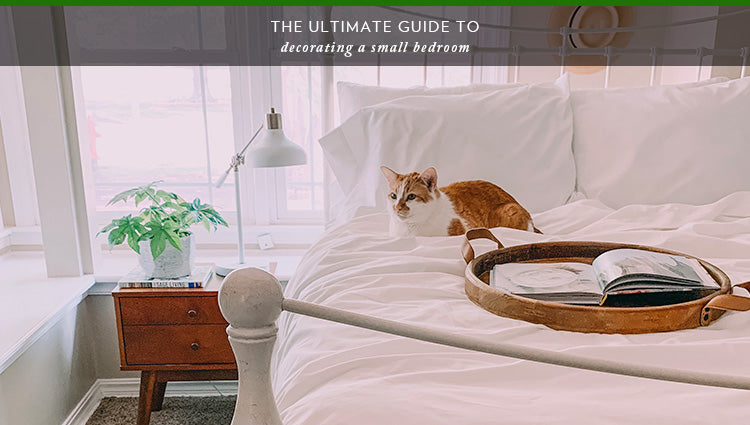 The Ultimate Guide to Decorating a Small Bedroom