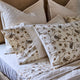 Cotton & Quail Collection