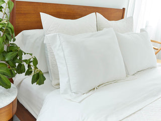 color_White