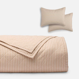 color_Sesame*Ticking*Stripe