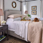 
  
    Basic Sheet Set
  
