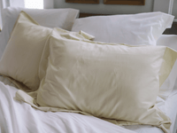 
  
    Basic Pillow Sham
  
