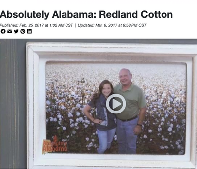 Absolutely Alabama: Red Land Cotton