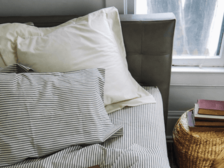 Red Land Cotton Bankhead Basics Euro Sham